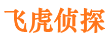 柏乡市私家侦探